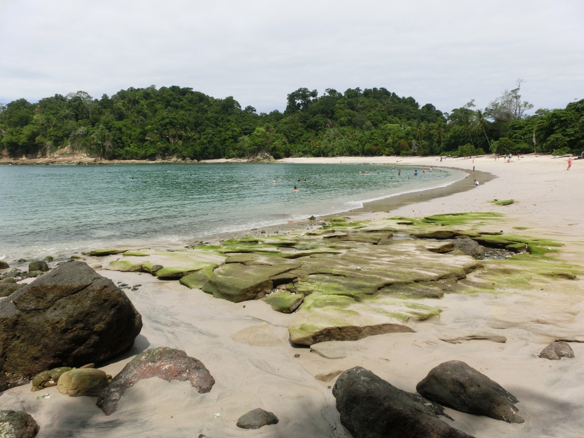 A day In Manuel Antonio National Park
